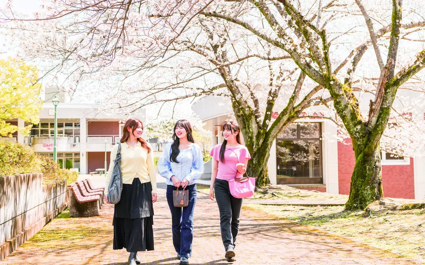 桜の咲く横浜キャンパスと学生